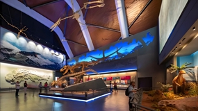 打造數字化海洋博物館都具備哪些價值？